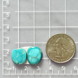 Small Sky Blue Freeform Kingman Turquoise, Set of 2 Dimensions