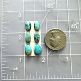 Small Sky Blue Mixed Number 8 Turquoise, Set of 6 Dimensions