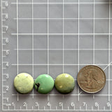 Small Mixed Round Crescent Lake Variscite, Set of 3 Dimensions