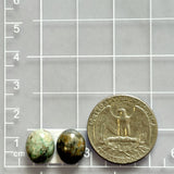 Small Mixed Oval Broken Arrow Variscite, Set of 2 Dimensions