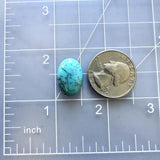 Medium Sky Blue Oval Lone Mountain Turquoise Dimensions