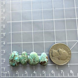 Small Sea Green Freeform Namtso Lake Turquoise, Set of 4 Dimensions