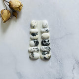 Small White Mixed White Buffalo Dolomite, Set of 12 Background