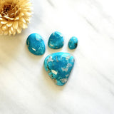 Medium Sky Blue Freeform Fox Turquoise, Set of 4 Background