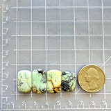 Small Mixed Freeform Crescent Lake Variscite, Set of 4 Dimensions