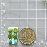 Small Mixed Mixed Mixed Turquoise, Set of 6 Dimensions