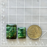 Large Deep Green Bar Crescent Lake Variscite, Set of 2 Dimensions