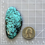 Large Sky Blue Freeform Yungai Turquoise Dimensions