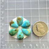Small Mixed Teardrop Royston Turquoise, Set of 6 Dimensions