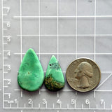 Large Sea Green Teardrop Crescent Lake Variscite, Set of 2 Dimensions