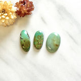 Large Mint Green Oval Crescent Lake Variscite, Set of 3 Background