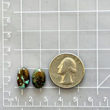 Small Earth Brown Oval Carico Lake Turquoise, Set of 2 Dimensions