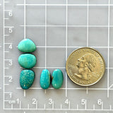 Small Sky Blue Freeform Kingman Turquoise, Set of 5 Dimensions