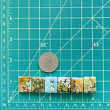 Medium Mixed Bar Mixed Turquoise, Set of 6 Dimensions