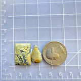 Medium Yellow Mixed Crescent Lake Variscite, Set of 2 Dimensions