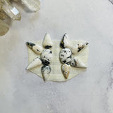 Small White Mixed White Buffalo Dolomite, Set of 10 Background