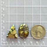 Large Earth Brown Mixed Treasure Mountain Turquoise, Set of 2 Dimensions