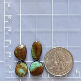 Medium Sea Green Mixed Pilot Mountain Turquoise, Set of 4 Dimensions