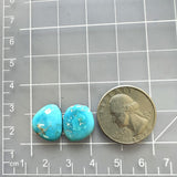 Small Sky Blue Freeform Ithaca Peak Turquoise, Set of 2 Dimensions