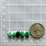 Small Sea Green Mixed Crescent Lake Variscite, Set of 5 Dimensions