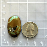 Large Earth Brown Freeform Crescent Lake Variscite Dimensions