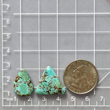 Medium Sky Blue Mixed Wild Horse Turquoise, Set of 2 Dimensions