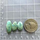 Medium Sea Green Oval Crescent Lake Variscite, Set of 3 Dimensions
