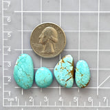 Large Sky Blue Freeform Number 8 Turquoise, Set of 4 Dimensions