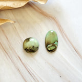 Medium Sea Green Mixed Crescent Lake Variscite, Set of 2 Background