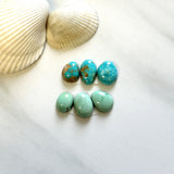Small Mixed Freeform Royston Turquoise, Set of 6 Background