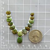 Small Mixed Mixed Lone Mountain Turquoise, Set of 14 Dimensions