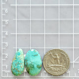 Large Sky Blue Mixed Tyrone Turquoise, Set of 2 Dimensions