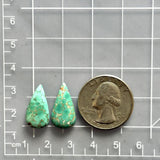 Small Sea Green Teardrop Namtso Lake Turquoise, Set of 2 Dimensions