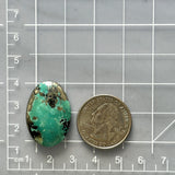 Large Sea Green Oval Ithaca Peak Turquoise Dimensions