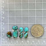 Small Sky Blue Mixed Tyrone Turquoise, Set of 7 Dimensions