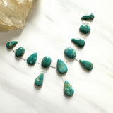 Small Deep Green Mixed Fox Turquoise, Set of 12 Background