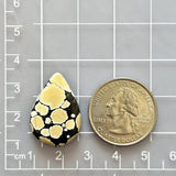 Large Pale Brown Teardrop Giraffe Turquoise Dimensions