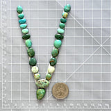 Small Mixed Mixed Mixed Turquoise, Set of 24 Dimensions