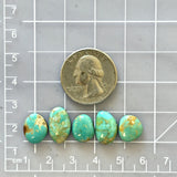 Small Mint Green Mixed Kingman Turquoise, Set of 5 Dimensions