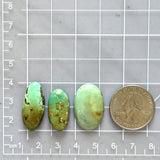 Large Mint Green Oval Crescent Lake Variscite, Set of 3 Dimensions