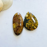 Large Earth Brown Mixed Golden Birch Turquoise, Set of 2 Background
