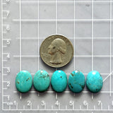 Small Sky Blue Oval Yungai Turquoise, Set of 5 Dimensions