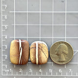 Large Red Freeform White Buffalo Dolomite, Set of 2 Dimensions