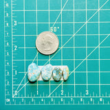 Medium Ocean Blue Freeform Carico Lake Turquoise, Set of 4 Dimensions