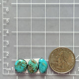 Small Sky Blue Freeform Kingman Turquoise, Set of 3 Dimensions