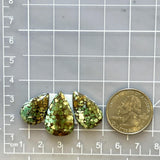 Medium Sea Green Teardrop Treasure Mountain Turquoise, Set of 3 Dimensions
