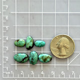 Small Sea Green Mixed Kingman Turquoise, Set of 6 Dimensions