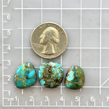 Medium Sky Blue Freeform Number 8 Turquoise, Set of 3 Dimensions