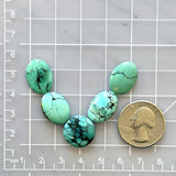 Small Sea Green Mixed Yungai Turquoise, Set of 5 Dimensions