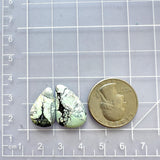 Medium Faint Blue Teardrop Crescent Lake Variscite, Set of 2 Dimensions